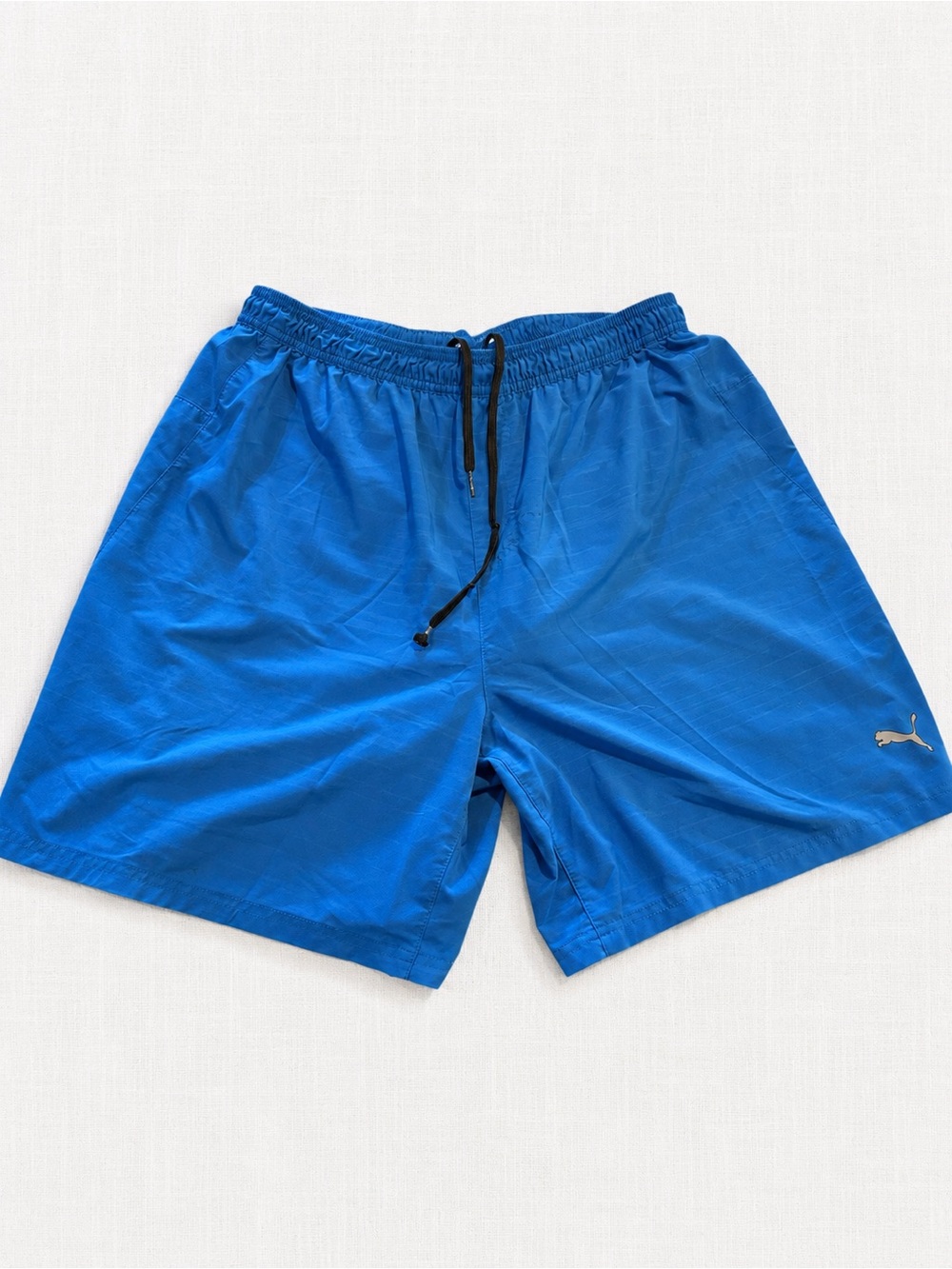 Puma Men’s Blue Shorts with Black Drawstring